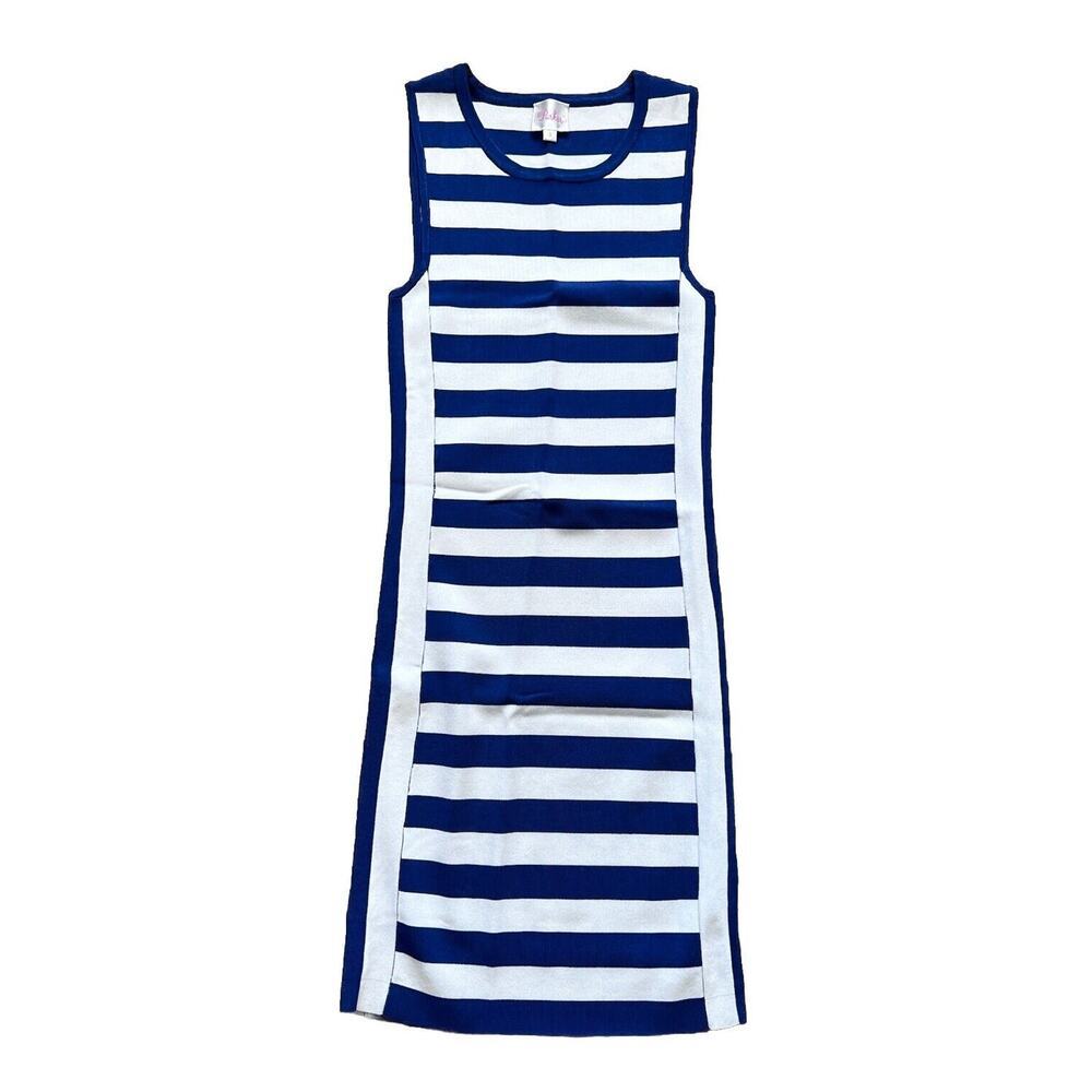 Parker Dress Womens Size Small Blue White Striped Bodycon Tank